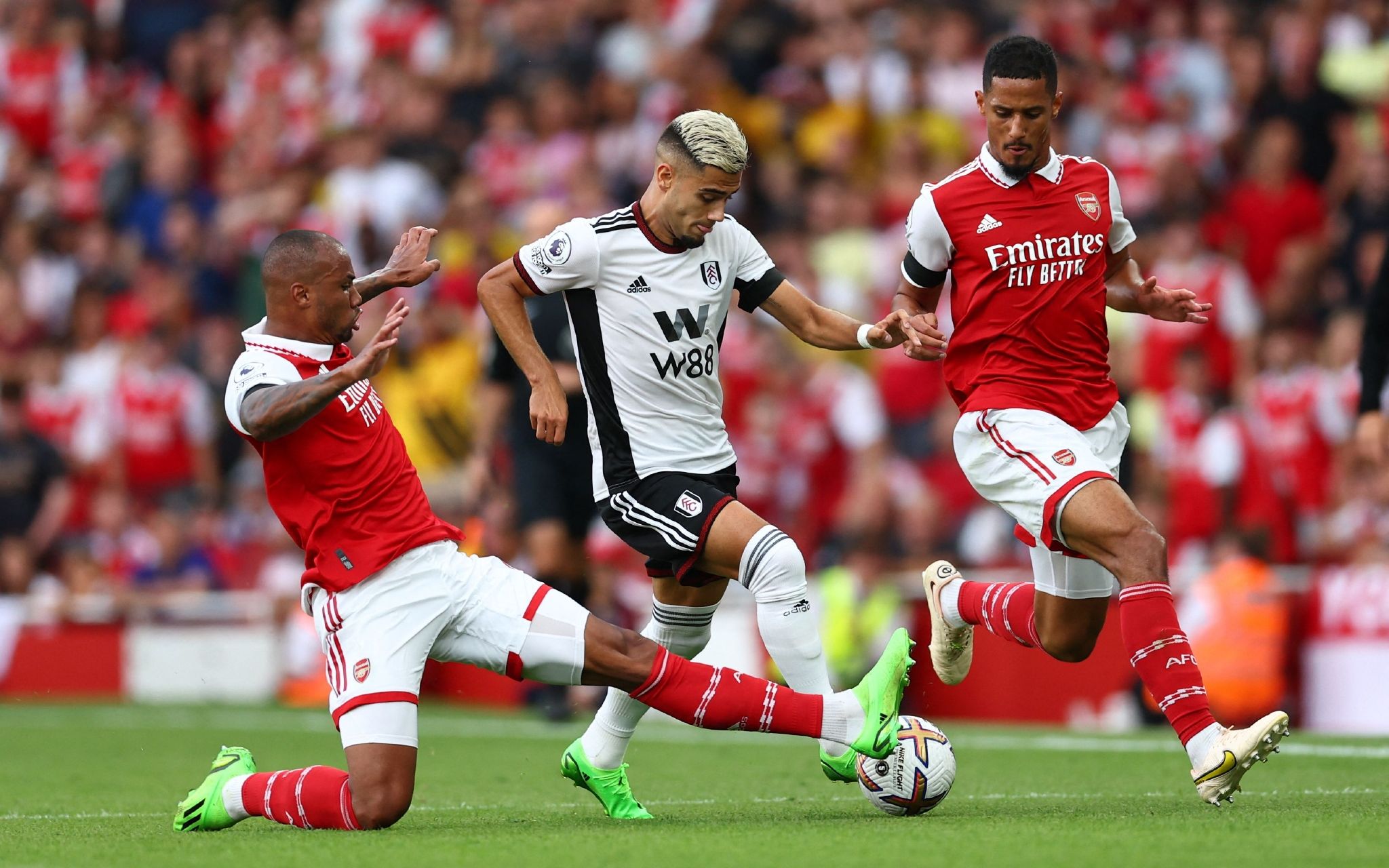 林这组三十 林这组三十