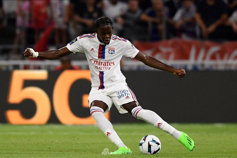 年来的迅速 年来的迅速